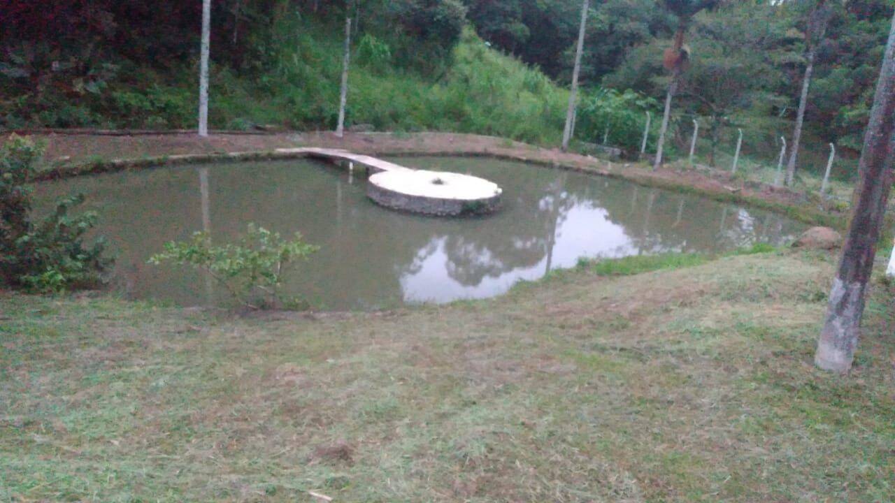 Sítio, 5 quartos, 3 hectares - Foto 11