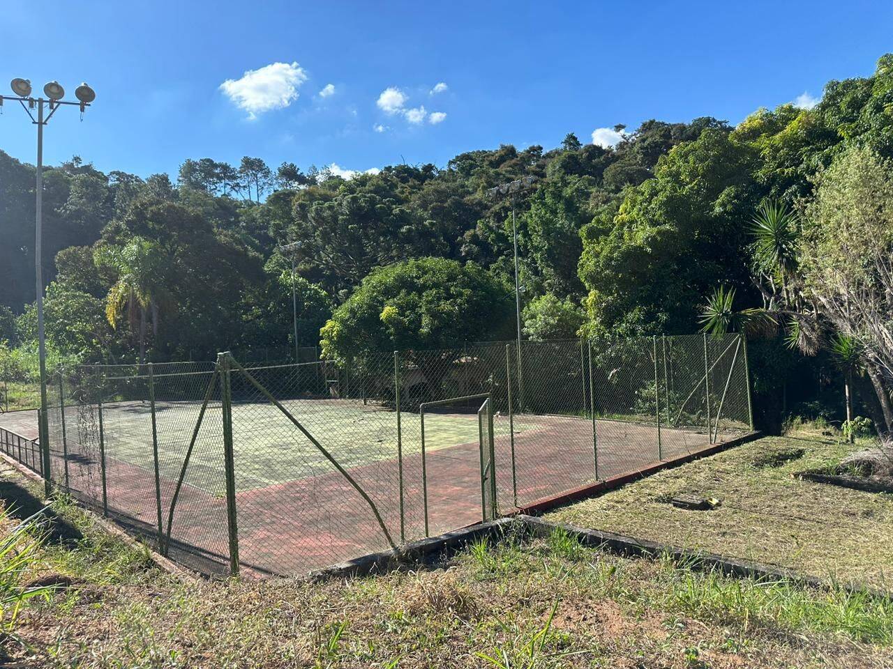 Sítio, 5 quartos, 3 hectares - Foto 15