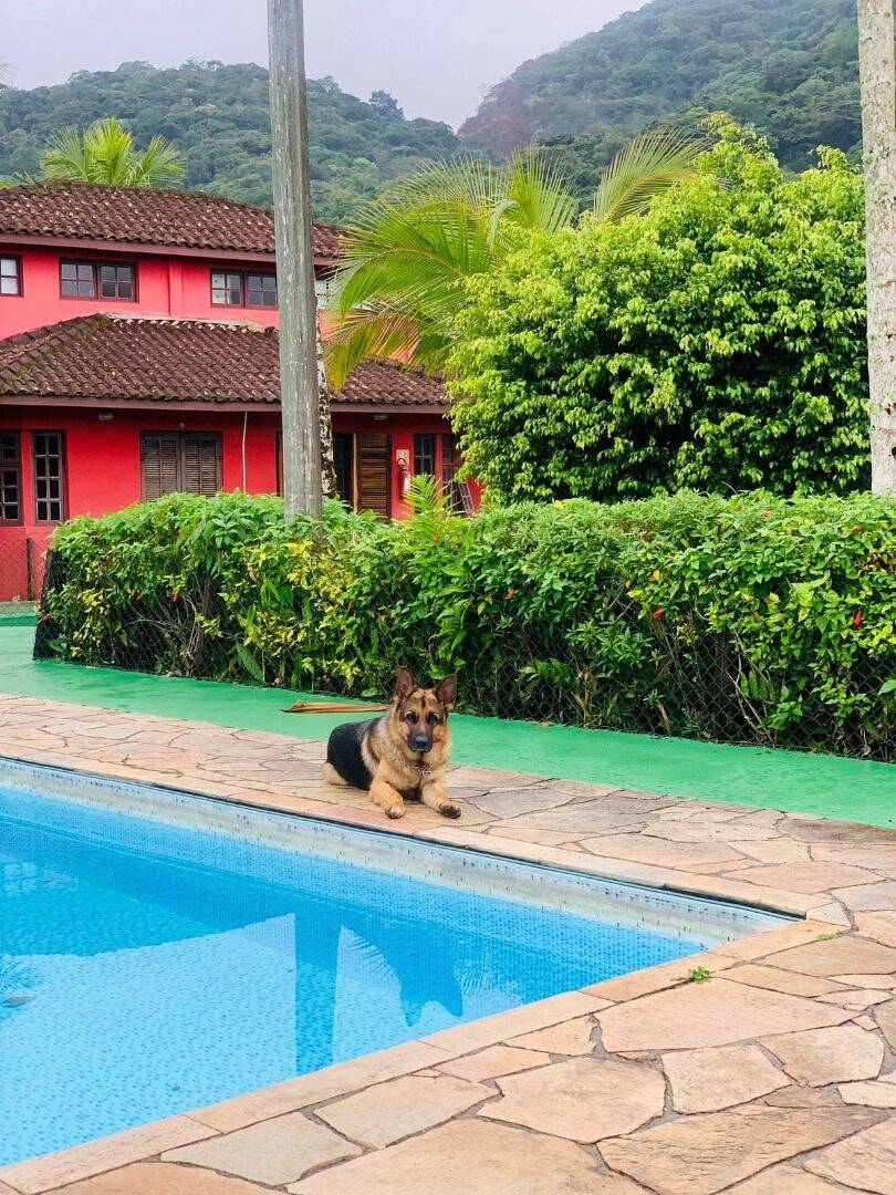 Prédio Inteiro, 450 m² - Foto 20