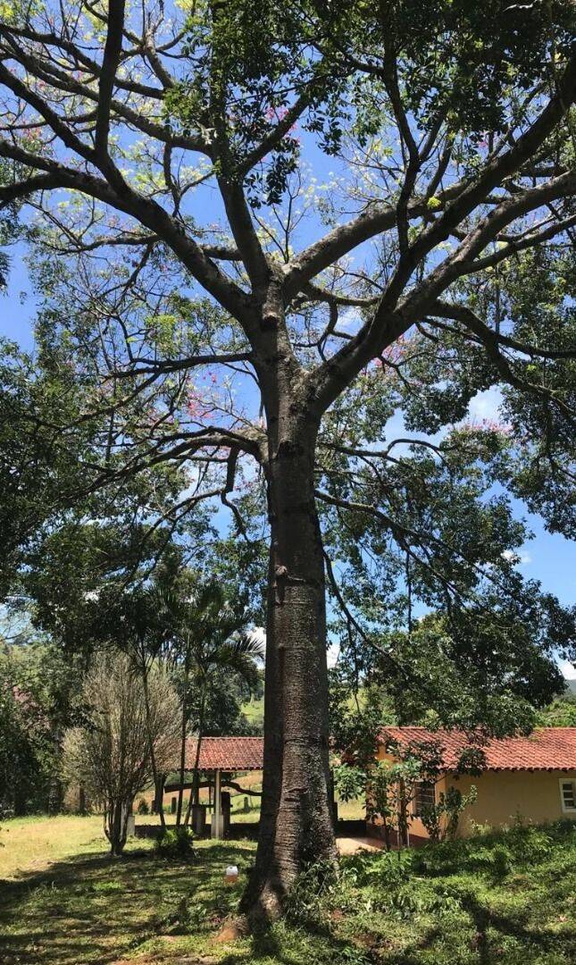 Sítio, 2 quartos, 2 hectares - Foto 9