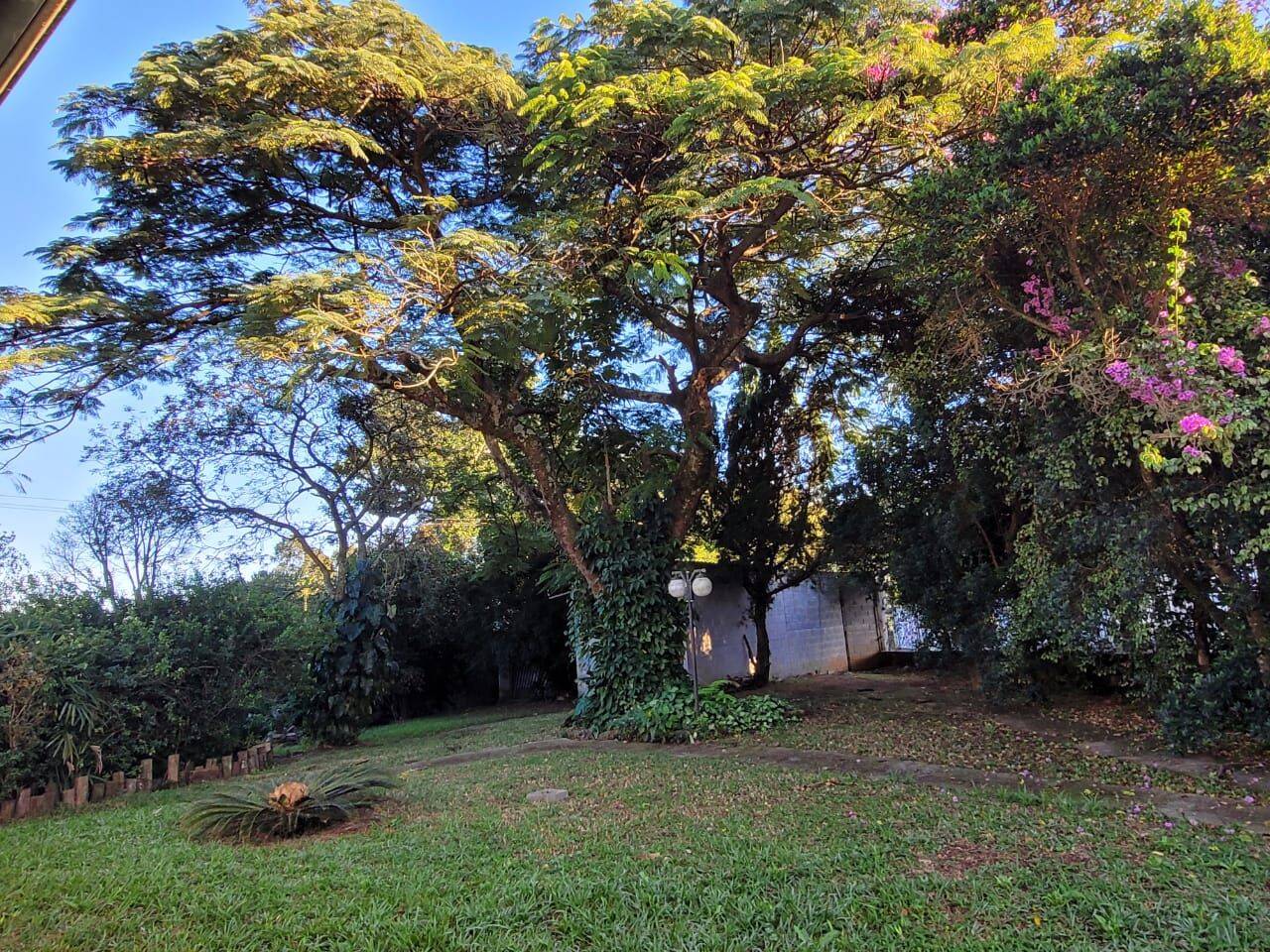 Chácara, 4 quartos, 2000 m² - Foto 5