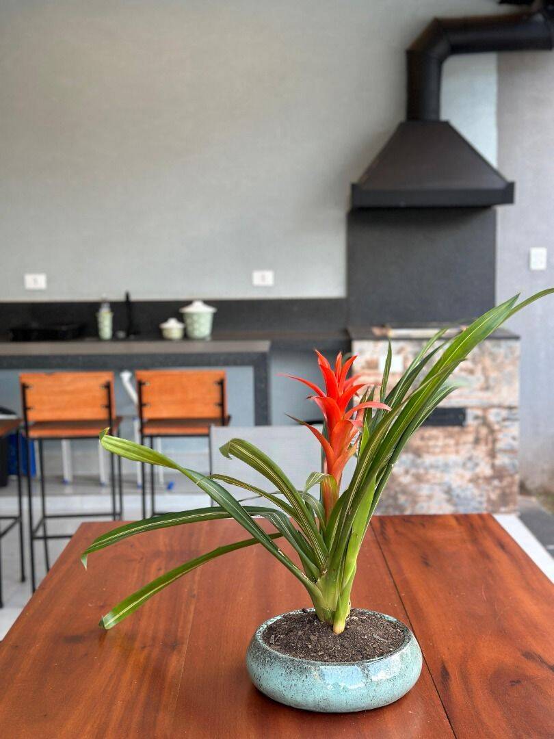 Casa, 3 quartos, 170 m² - Foto 8