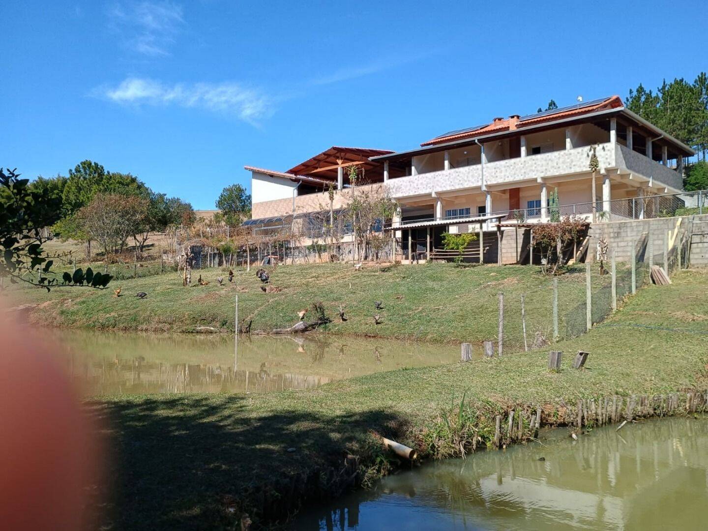 Sítio, 3 quartos, 3 hectares - Foto 3