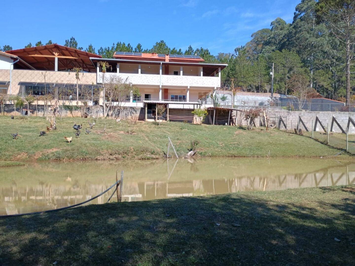 Sítio, 3 quartos, 3 hectares - Foto 4