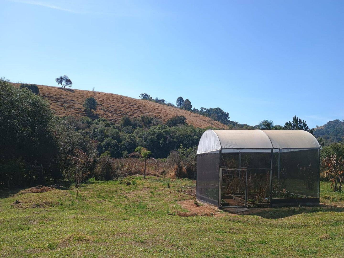 Sítio, 3 quartos, 3 hectares - Foto 6
