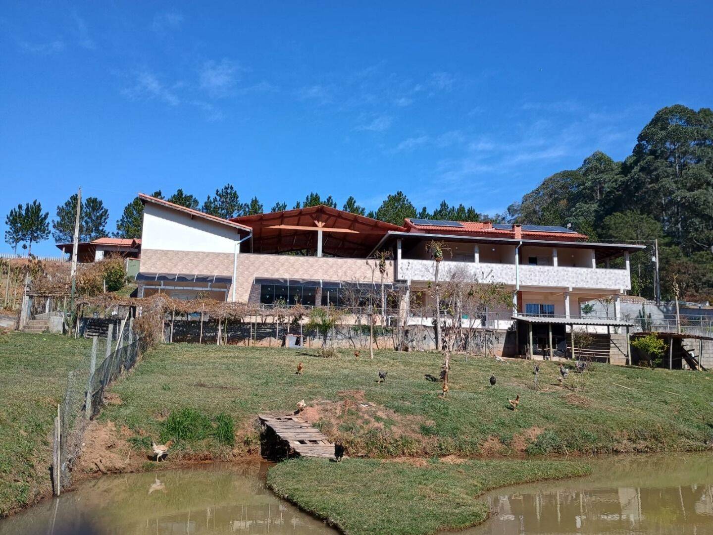 Sítio, 3 quartos, 3 hectares - Foto 8