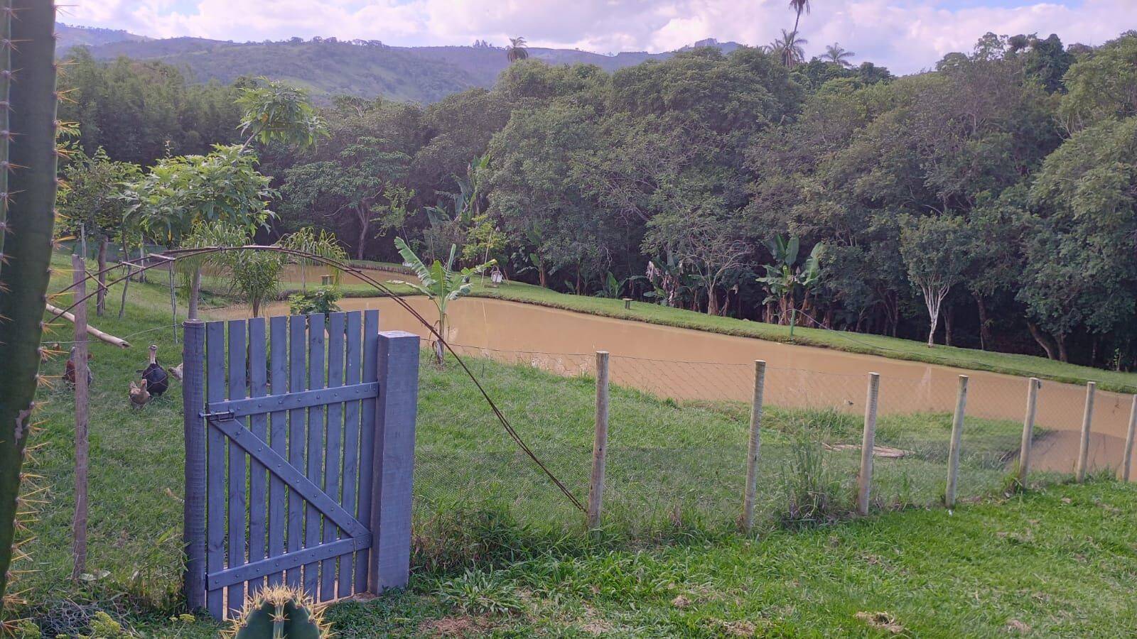 Sítio, 3 quartos, 3 hectares - Foto 14