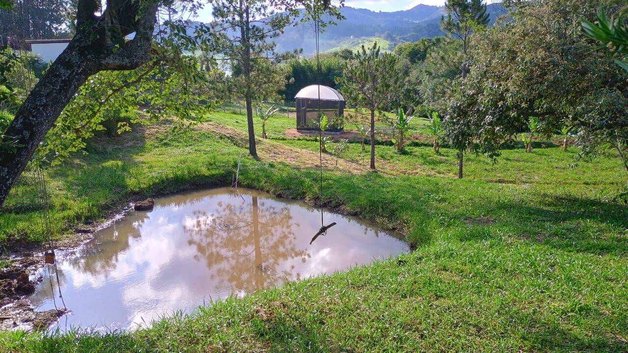 Sítio, 3 quartos, 3 hectares - Foto 22