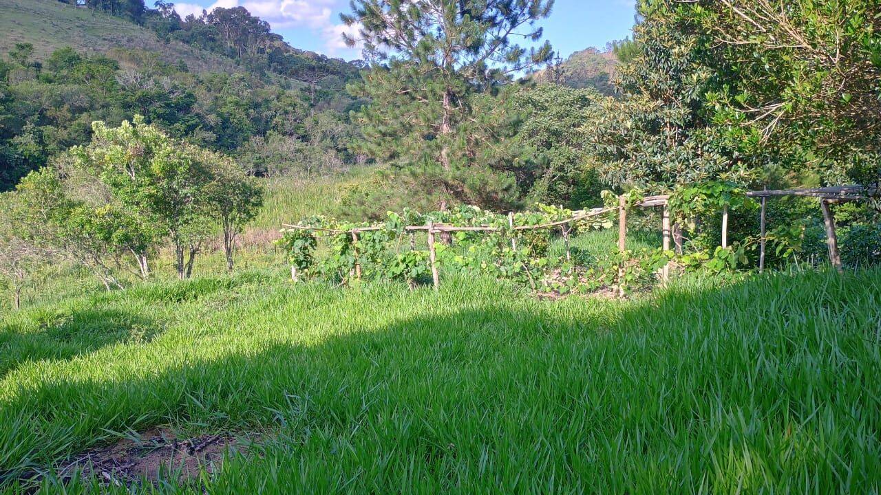 Sítio, 3 quartos, 3 hectares - Foto 27