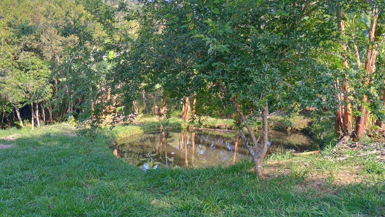 Sítio, 3 quartos, 3 hectares - Foto 28