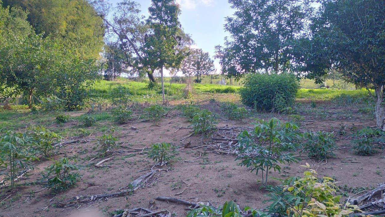Sítio, 3 quartos, 3 hectares - Foto 29