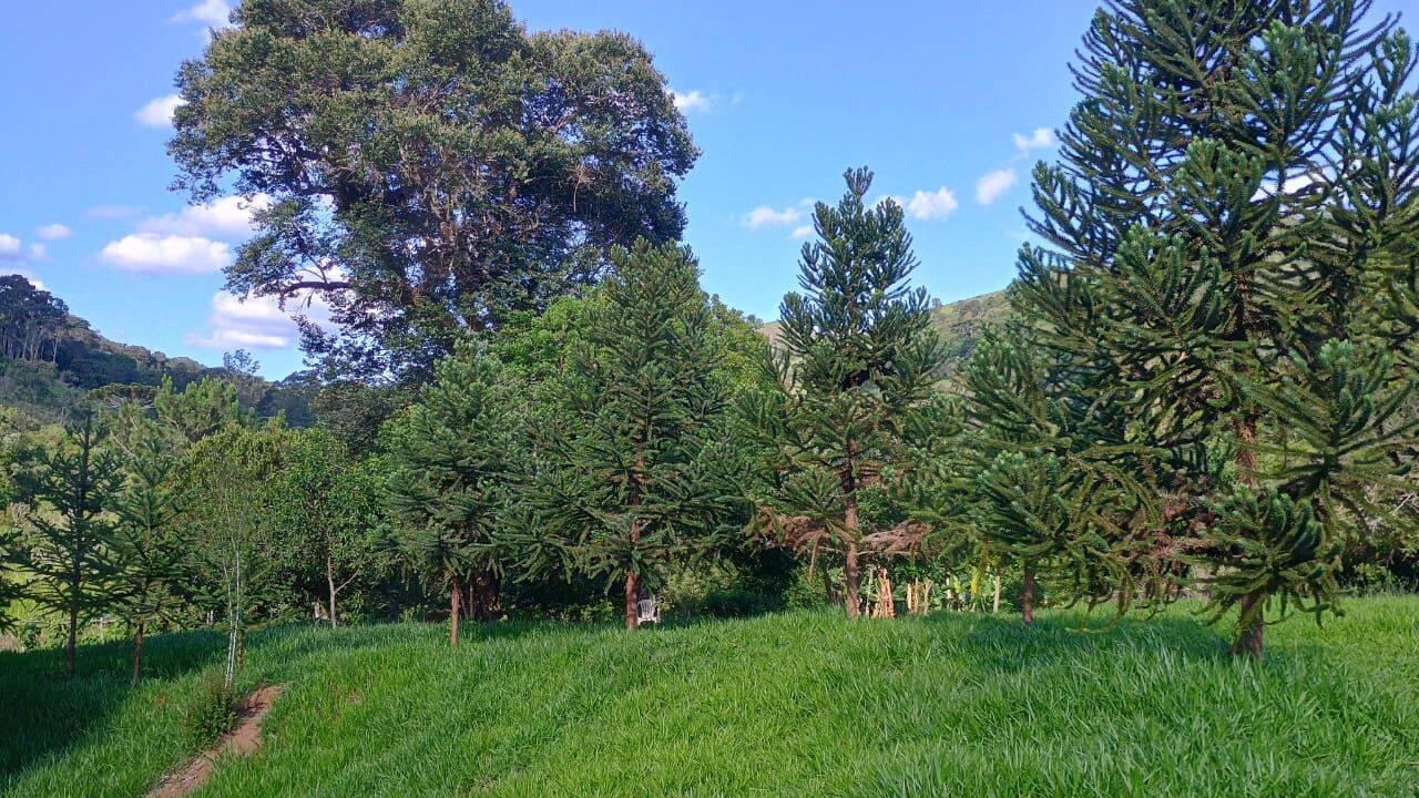 Sítio, 3 quartos, 3 hectares - Foto 31