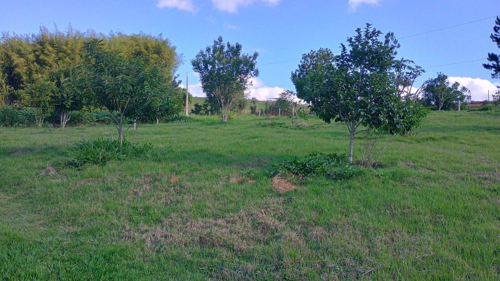 Sítio, 3 quartos, 3 hectares - Foto 33