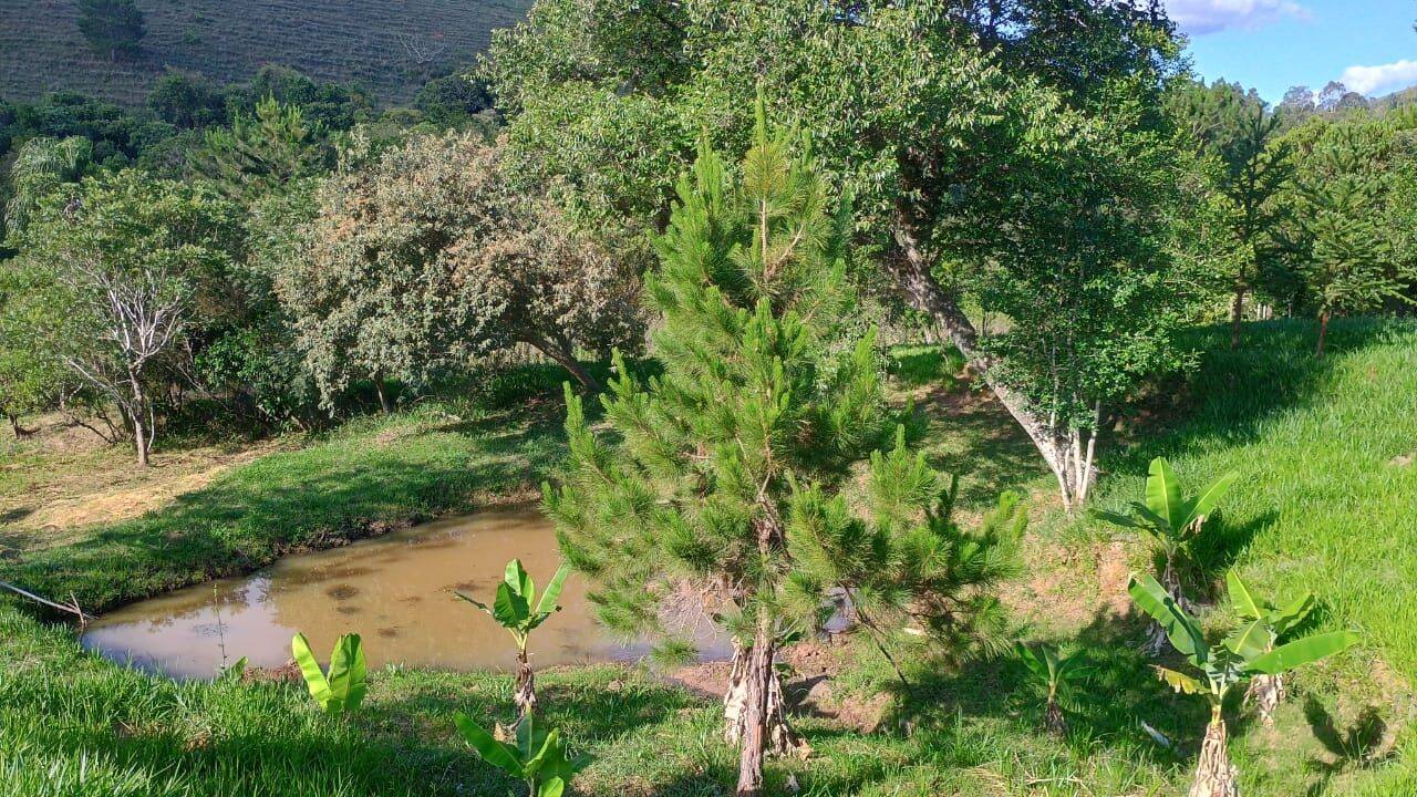 Sítio, 3 quartos, 3 hectares - Foto 34