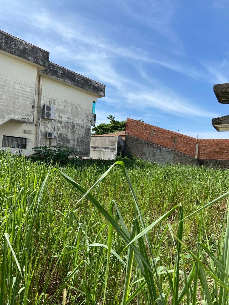 Terreno, 366 m² - Foto 4