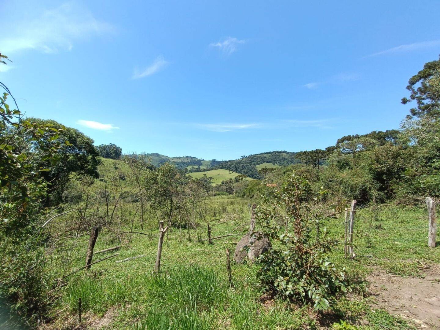 Sítio, 7 quartos, 8 hectares - Foto 10