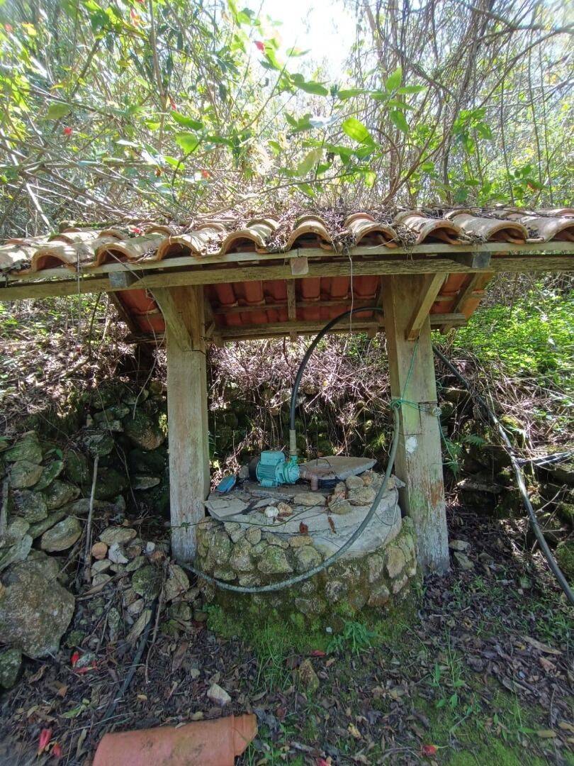 Sítio, 7 quartos, 8 hectares - Foto 15
