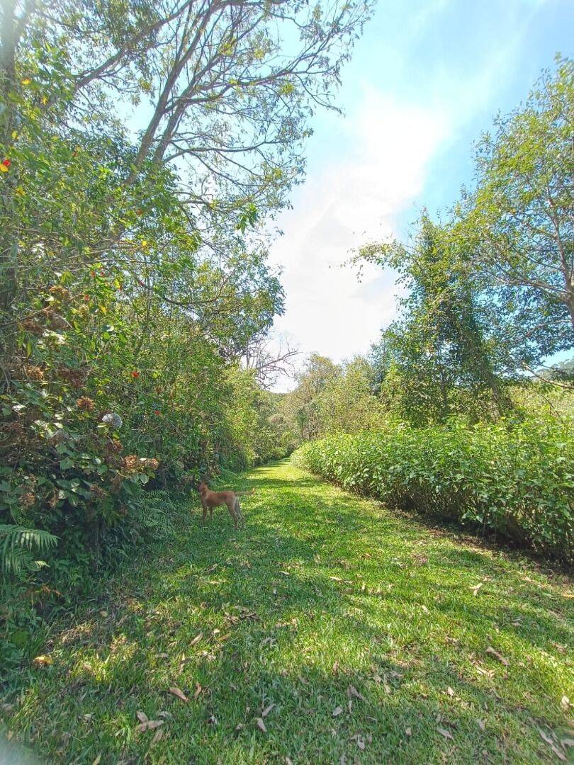 Sítio, 7 quartos, 8 hectares - Foto 17