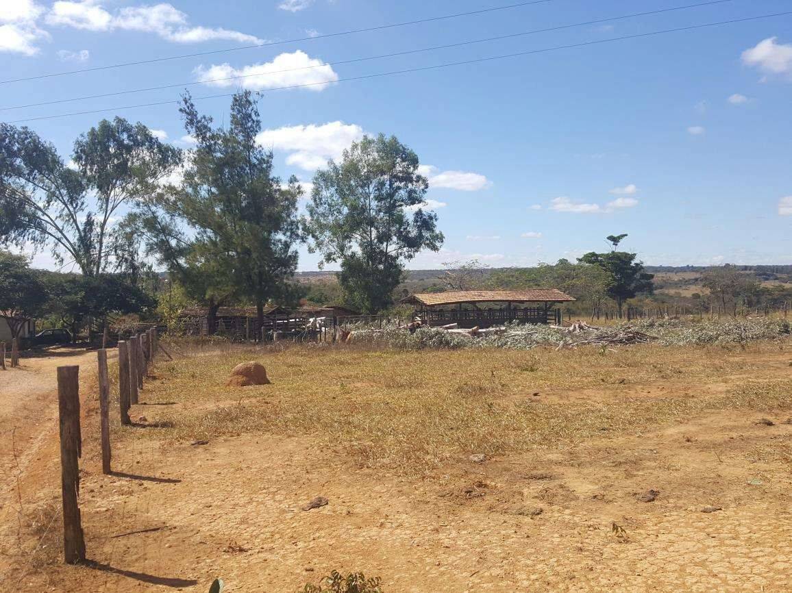 Terreno, 31 hectares - Foto 5