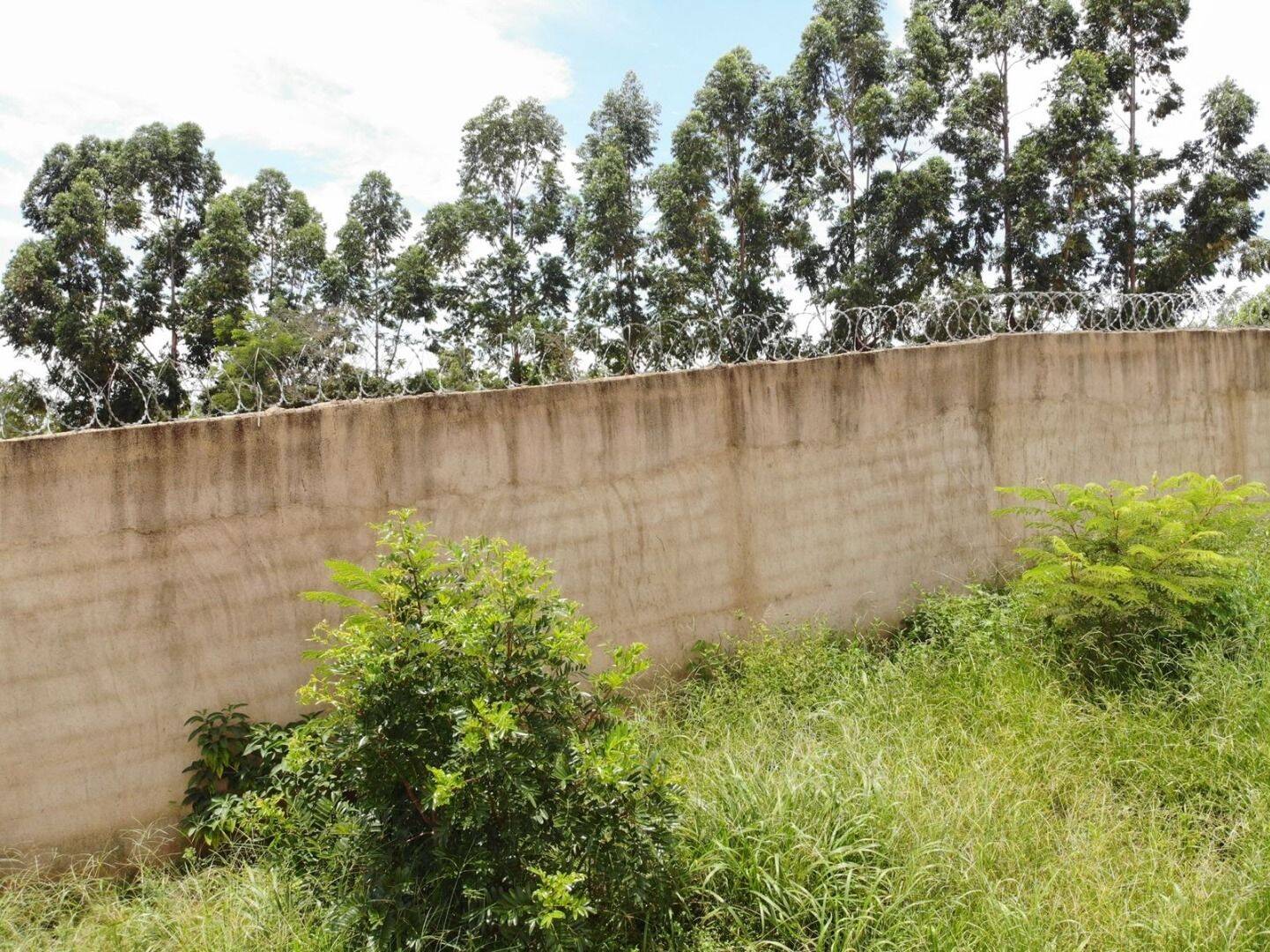 Prédio Inteiro - Foto 2