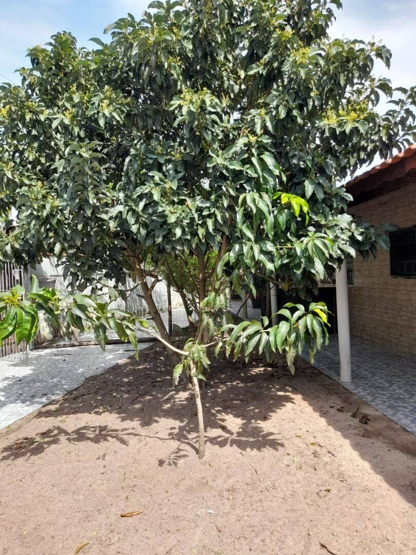 Casa, 2 quartos, 163 m² - Foto 1