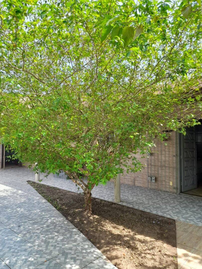 Casa, 2 quartos, 163 m² - Foto 3