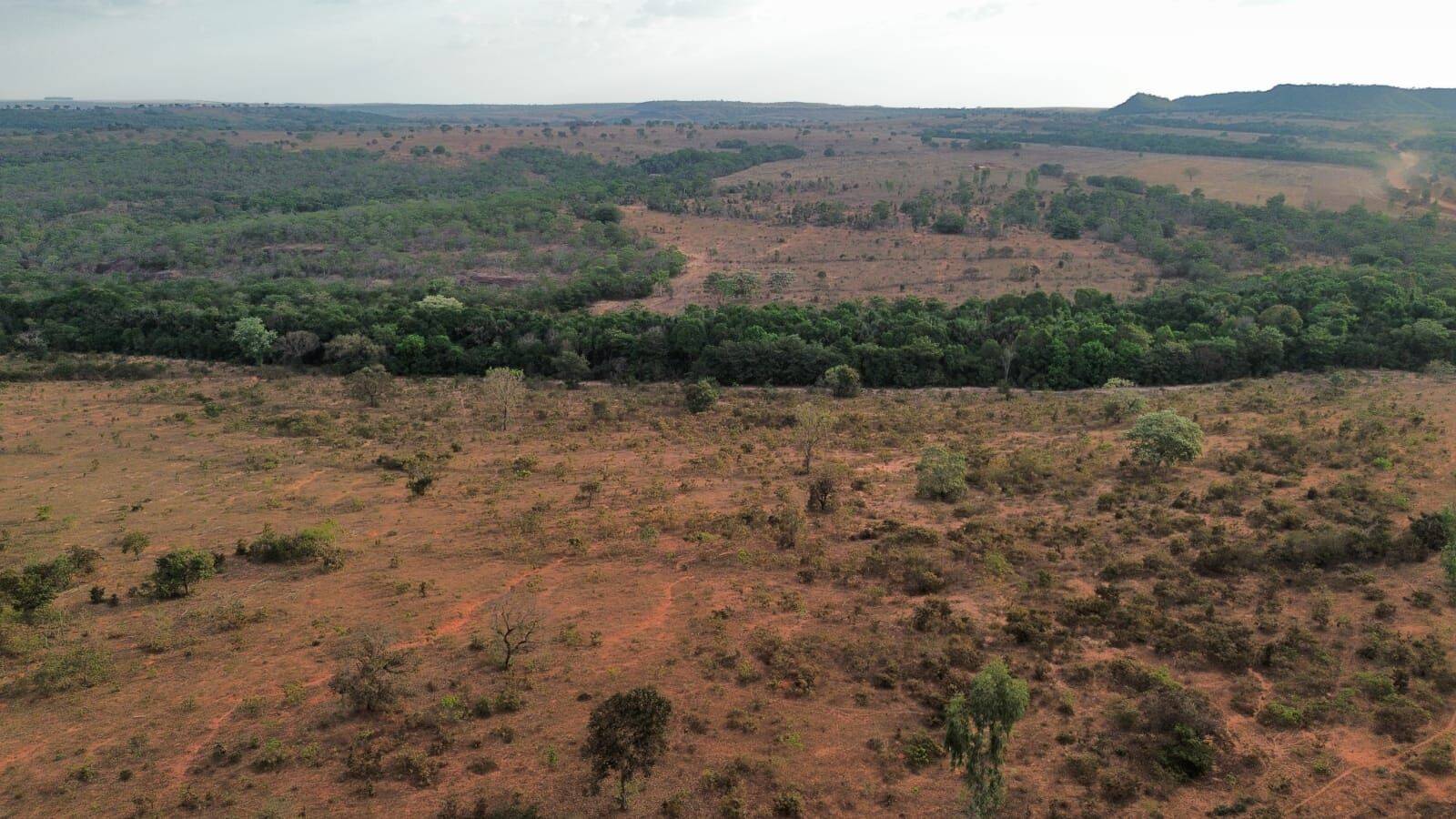 Terreno, 3125 hectares - Foto 3