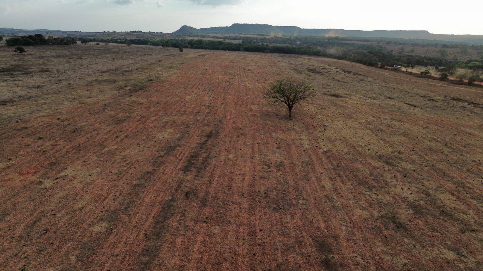 Terreno, 3125 hectares - Foto 5