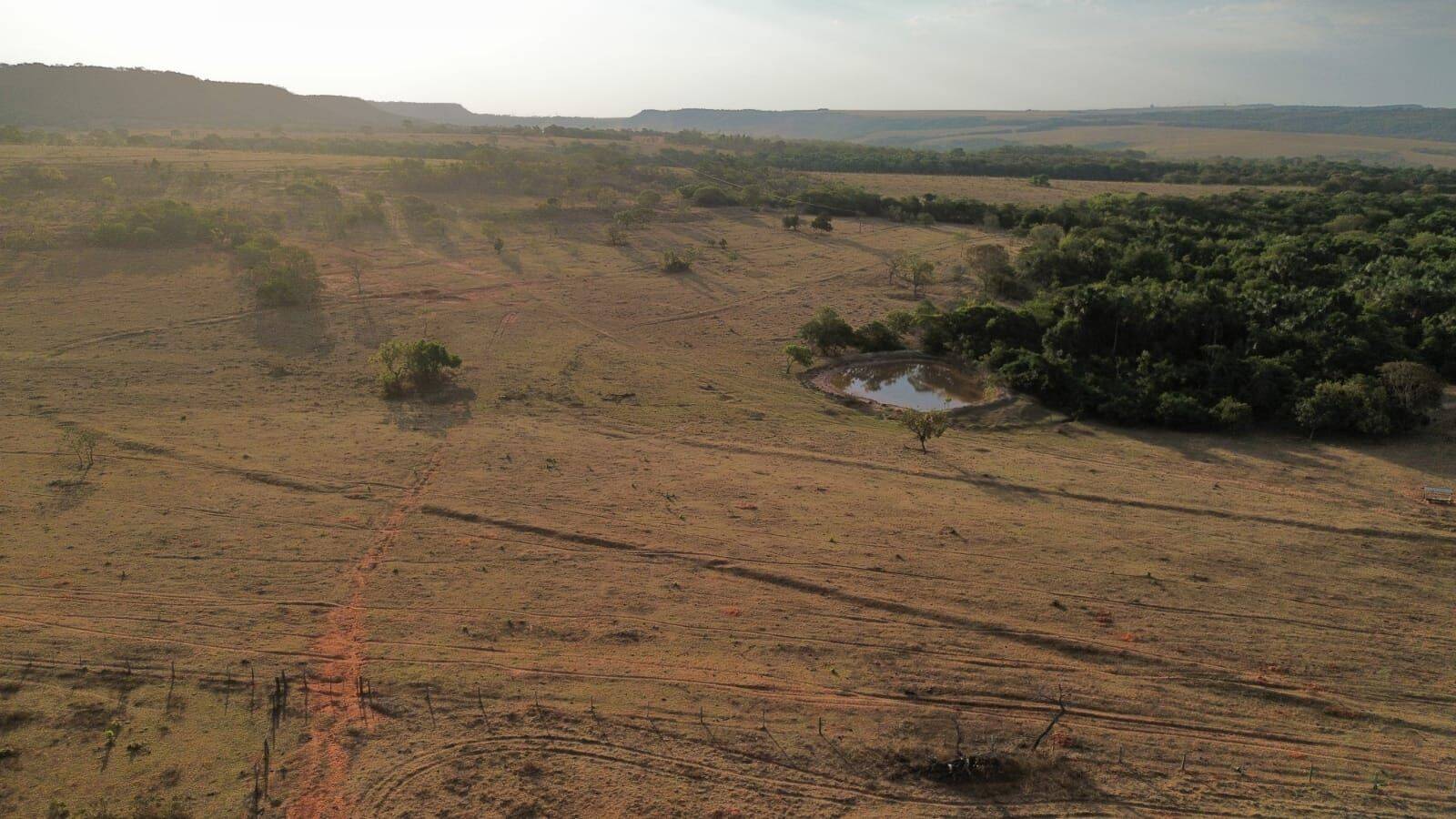 Terreno, 3125 hectares - Foto 6
