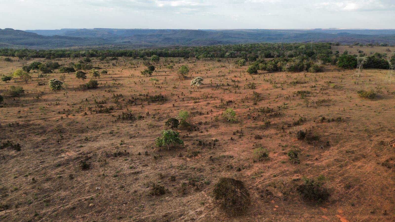 Terreno, 3125 hectares - Foto 7