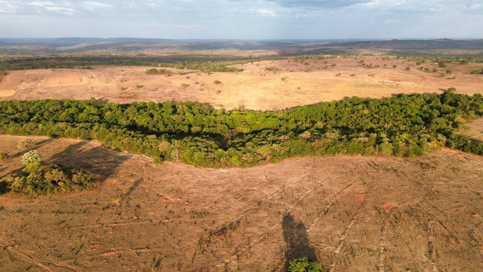 Terreno, 3125 hectares - Foto 8