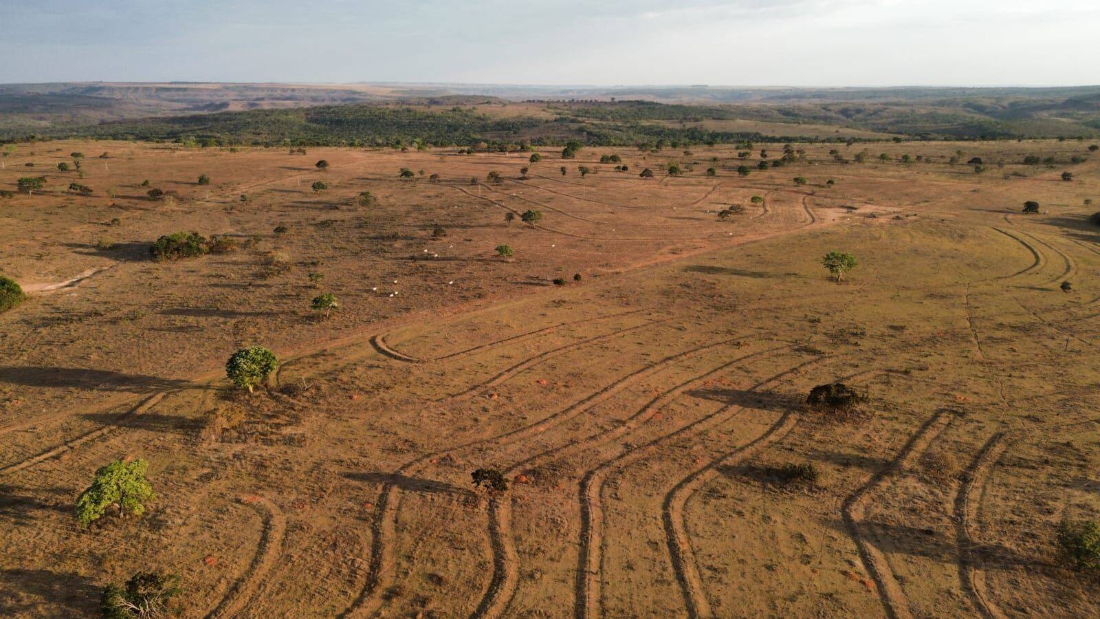 Terreno, 3125 hectares - Foto 10