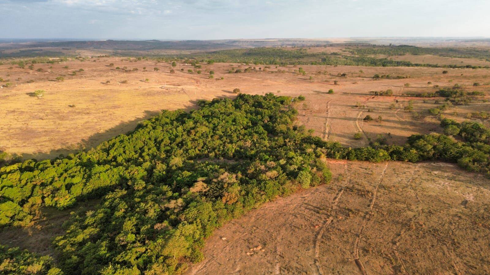 Terreno, 3125 hectares - Foto 12