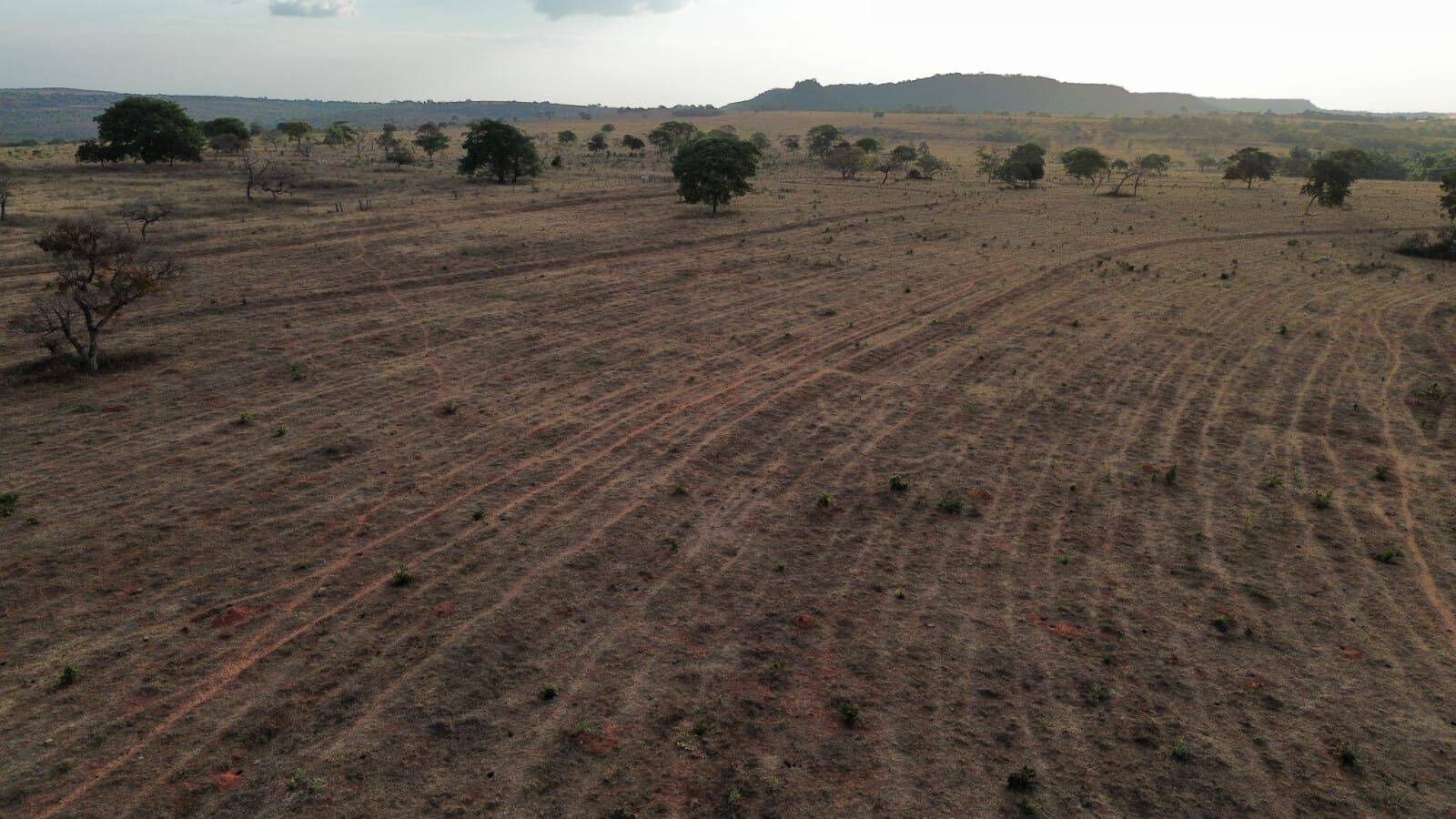 Terreno, 3125 hectares - Foto 13