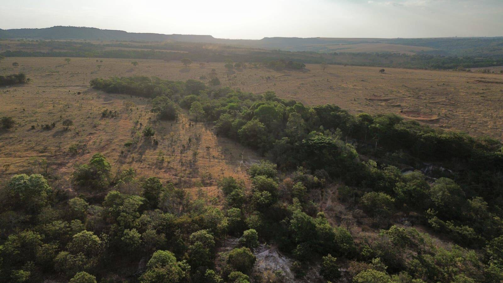 Terreno, 3125 hectares - Foto 14