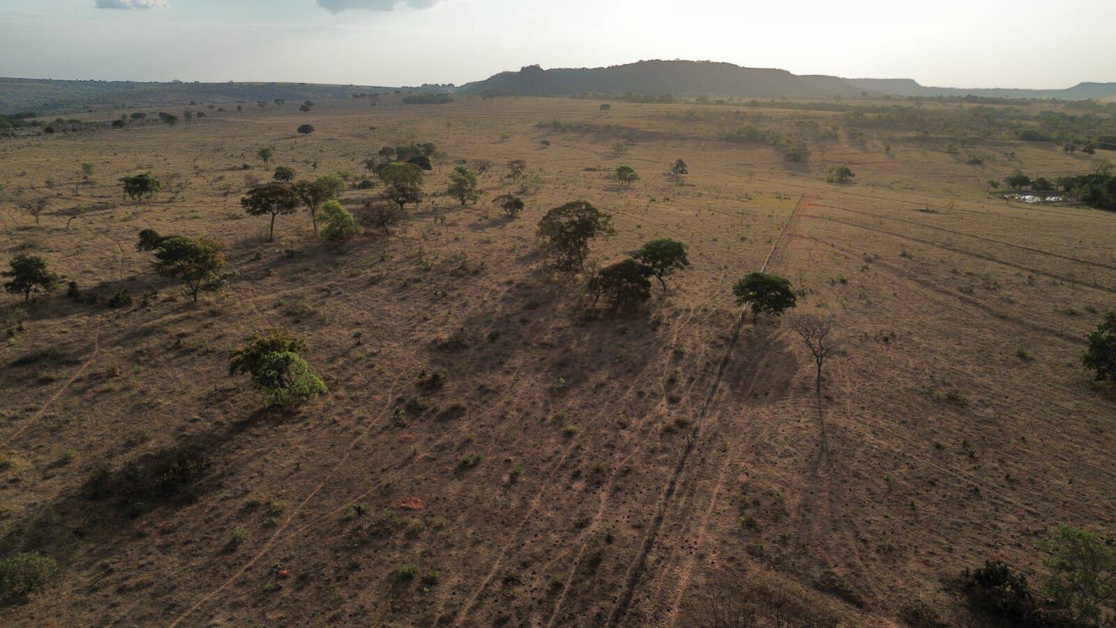 Terreno, 3125 hectares - Foto 15