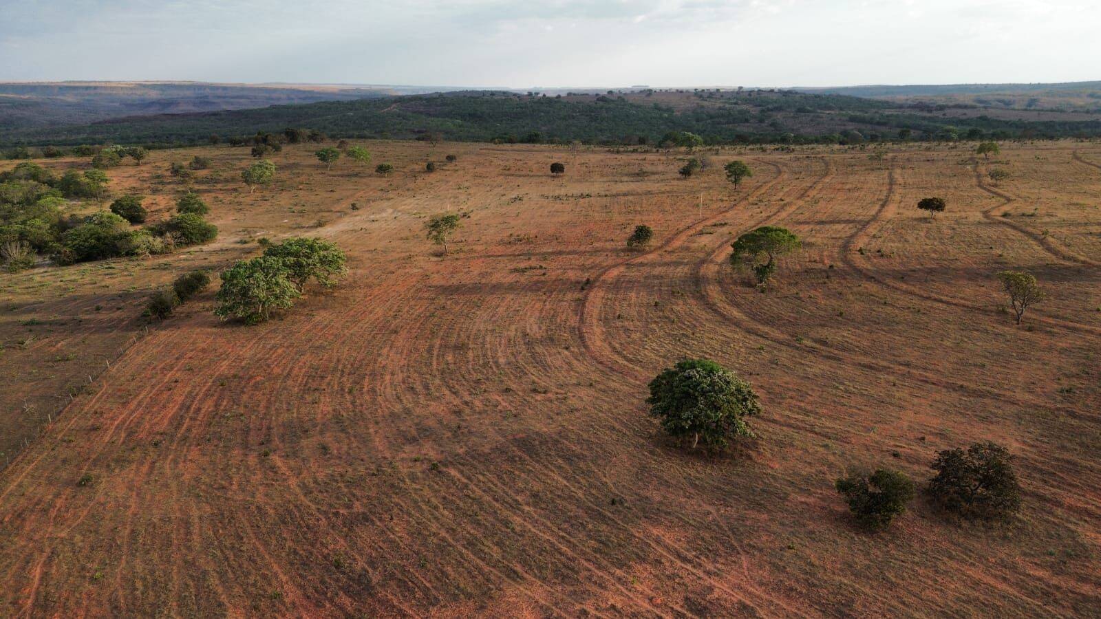 Terreno, 3125 hectares - Foto 17