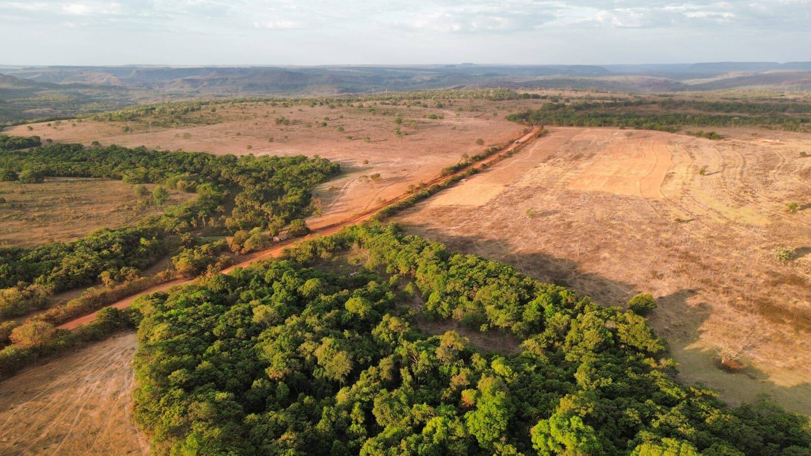 Terreno, 3125 hectares - Foto 18