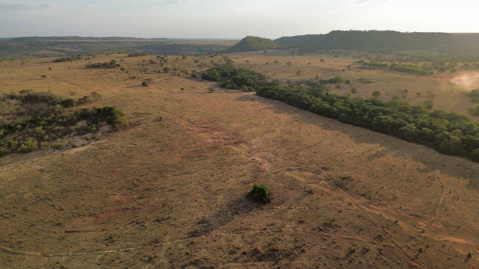 Terreno, 3125 hectares - Foto 31