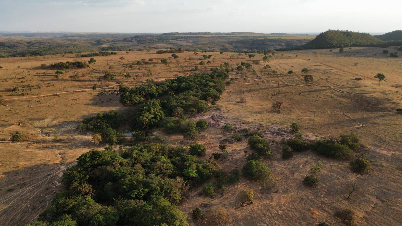 Terreno, 3125 hectares - Foto 38