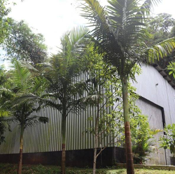 Sítio, 23 quartos, 12 hectares - Foto 26
