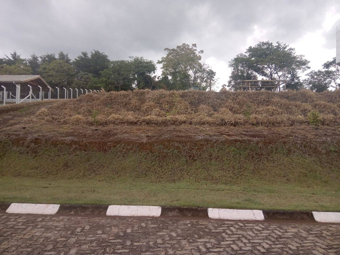 Terreno, 1000 m² - Foto 1