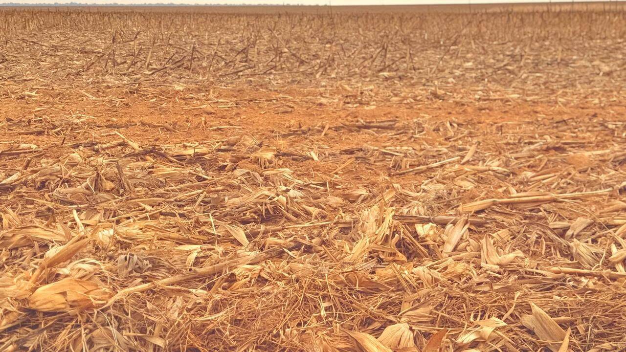 Terreno, 7236 hectares - Foto 2