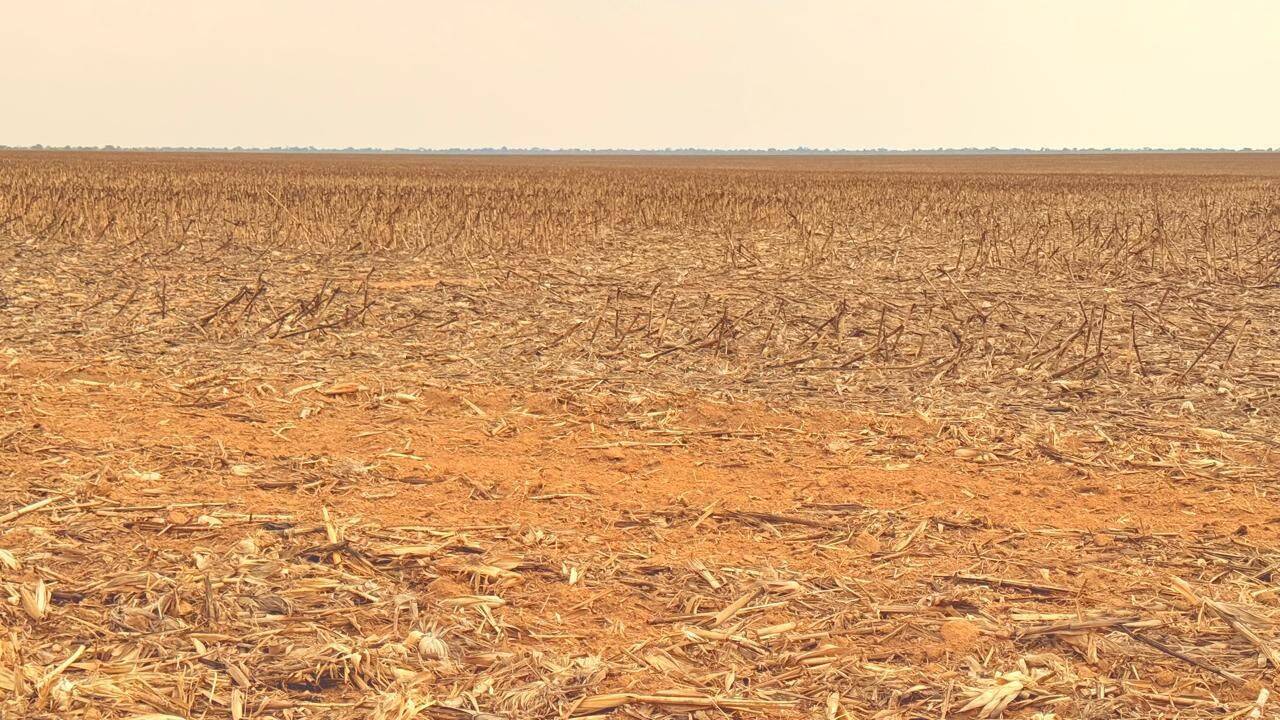 Terreno, 7236 hectares - Foto 3