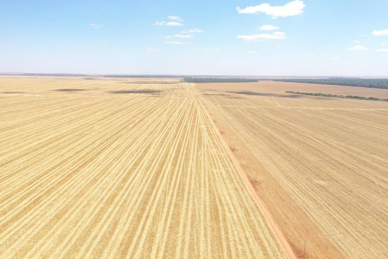 Terreno, 7236 hectares - Foto 6