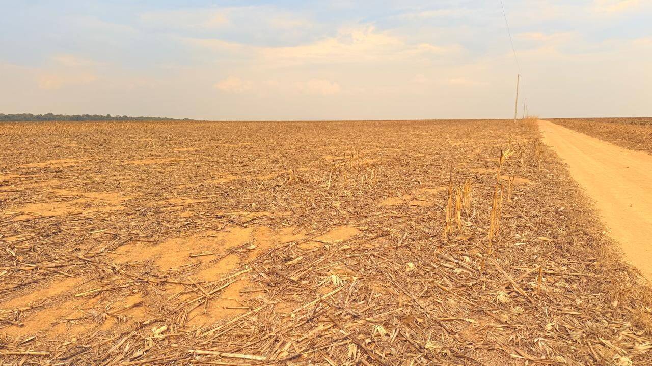 Terreno, 7236 hectares - Foto 7