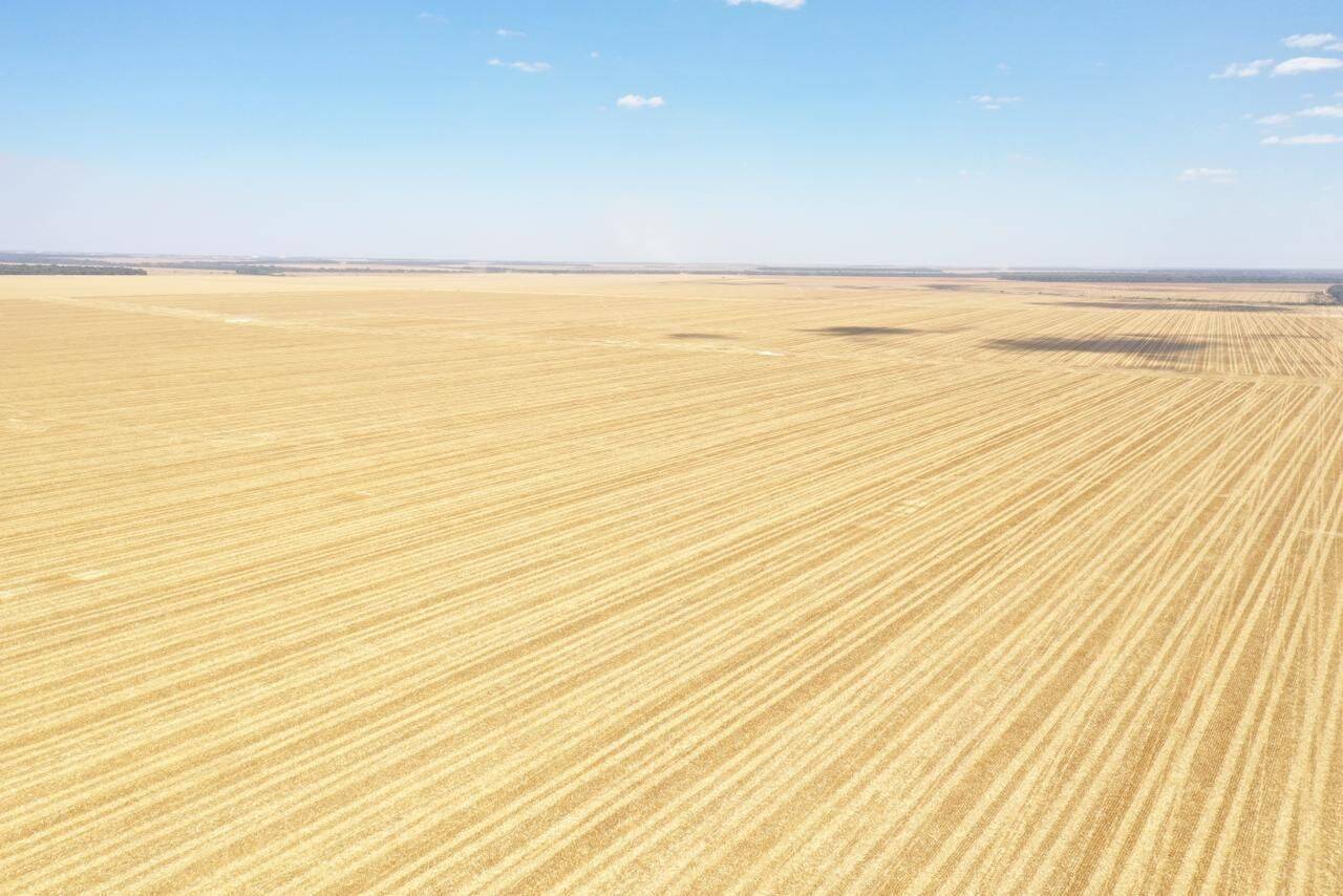 Terreno, 7236 hectares - Foto 12