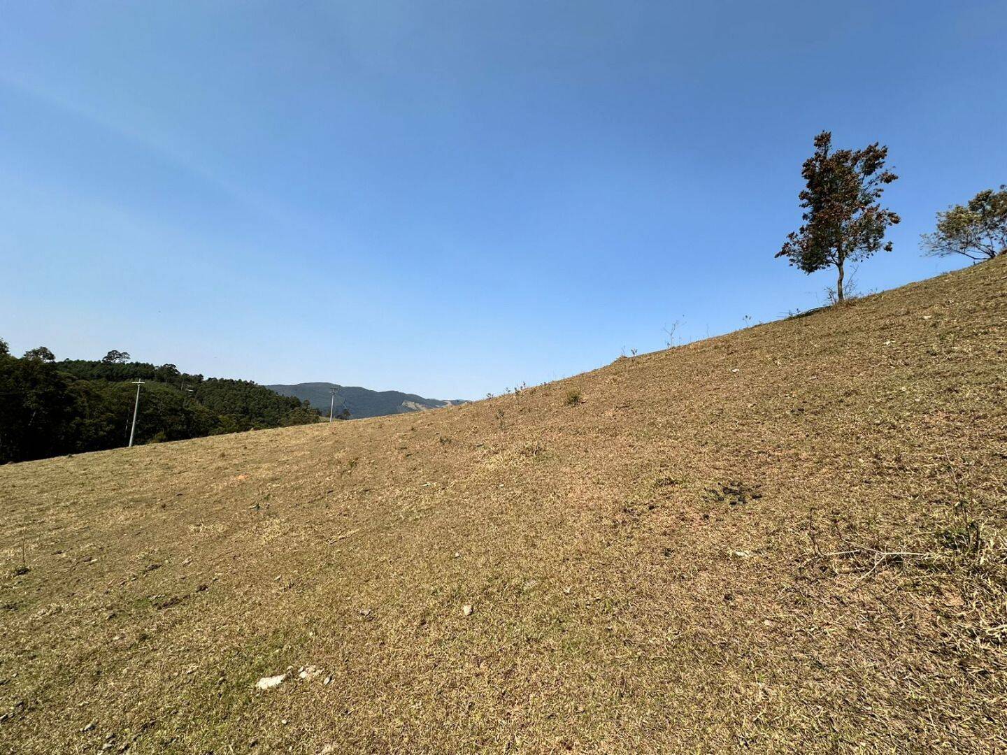 Sítio, 4 quartos, 17 hectares - Foto 29