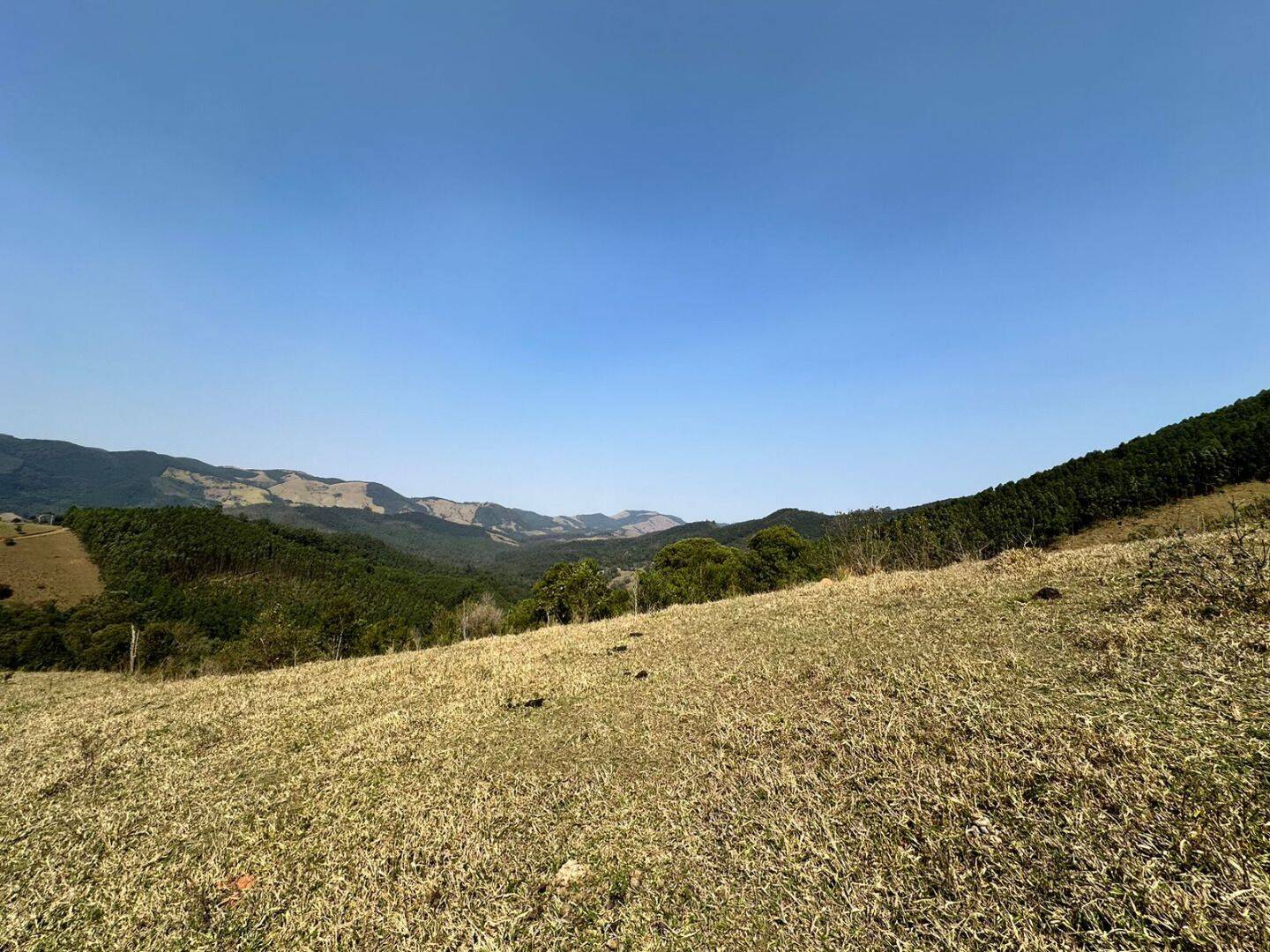 Sítio, 4 quartos, 17 hectares - Foto 33