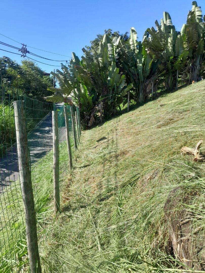 Terreno, 547 m² - Foto 4